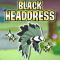 AJC Black Rare Headdress